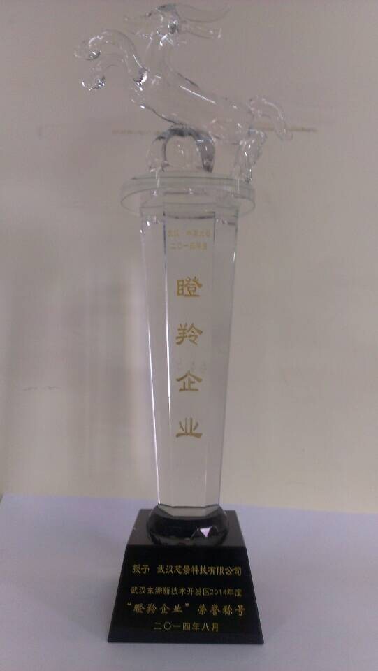 瞪羚企业奖杯2014年芯景.jpg